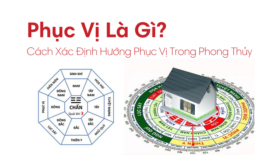 Phục Vị Là Gì? Cách Xác Định Hướng Phục Vị Trong Phong Thủy