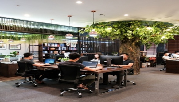 Mạng lưới hoạt động